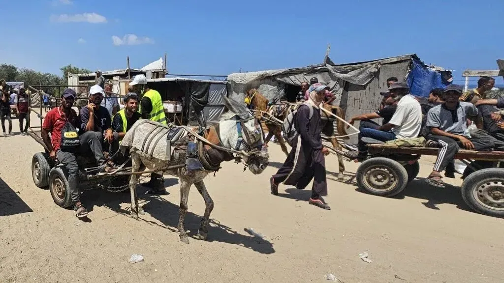 مجموعة من الفلسطينيين ينتظرون المساعدات الإنسانية في منطقة السودانية شمال غزة، بينما يمر رجل مع عربة تجرها حمار.