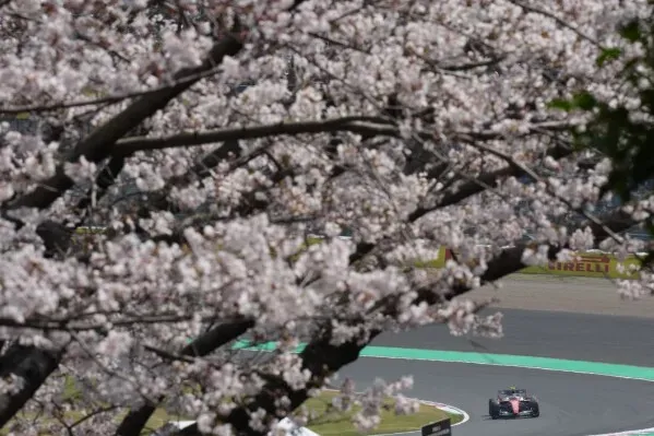 سيارة فورمولا 1 تتسابق في حلبة سوزوكا، محاطة بأشجار الكرز المزهرة، خلال التجارب النهائية لسباق جائزة اليابان الكبرى.