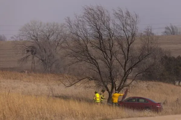 عمال الإنقاذ يقومون بإزالة الأضرار من شجرة متضررة بفعل الرياح العاتية، مع وجود سيارة حمراء في المقدمة.