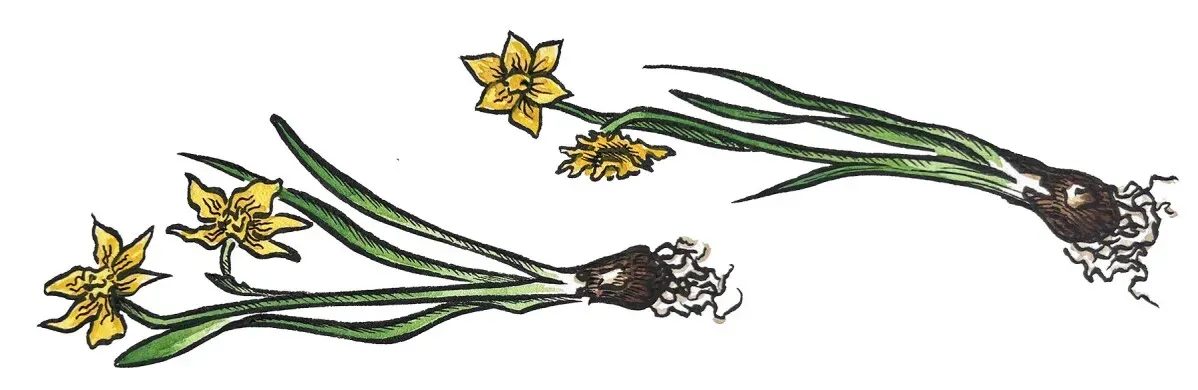 زهور صفراء مع سيقان خضراء، تمثل الذاكرة والتاريخ، تعكس أهمية التذكارات الشخصية بعد الكوارث.