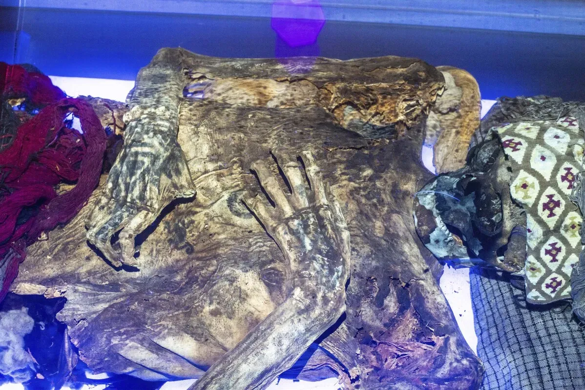 مومياء قديمة من بيرو تظهر وشومًا معقدة على اليدين، تعود إلى حوالي 1250 ميلادي، تكشف عن تفاصيل دقيقة باستخدام أشعة الليزر.