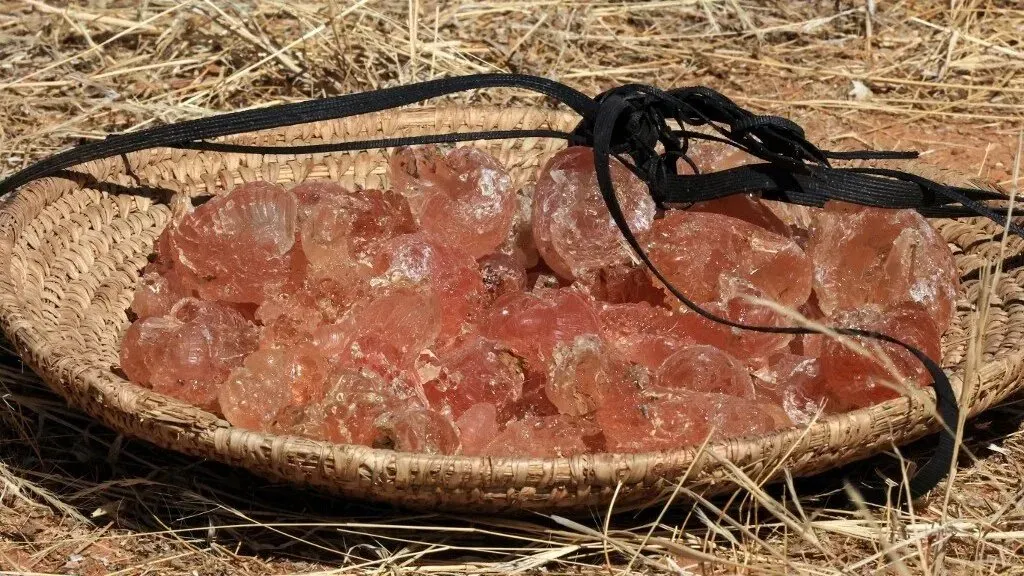 صورة لصحن مصنوع من القش يحتوي على قطع من الصمغ العربي، الذي يُعتبر موردًا مهمًا في السودان ويُستخدم في العديد من المنتجات.