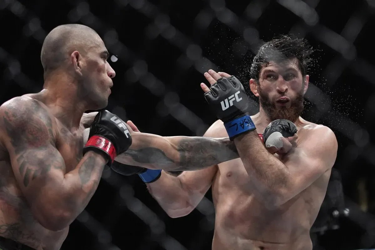 ماغوميد أنكالاييف يتلقى ضربة من أليكس بيريرا خلال نزال UFC 313، حيث حقق أنكالاييف فوزًا مفاجئًا بقرار بالإجماع.