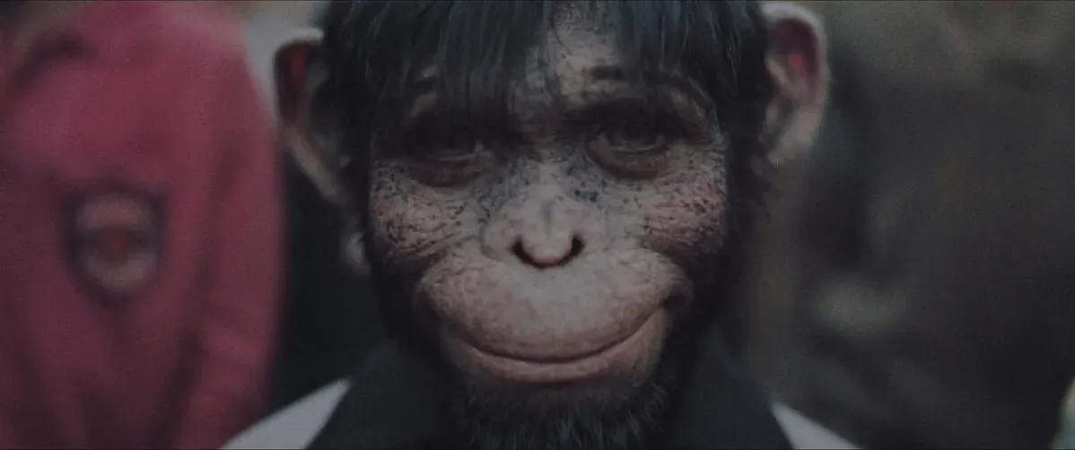 قرد بتقنية CGI يظهر تعبيرًا مميزًا، يمثل تجربة روبي ويليامز في فيلم \"Better Man\" ويعكس صراعه مع الشهرة والهوية.