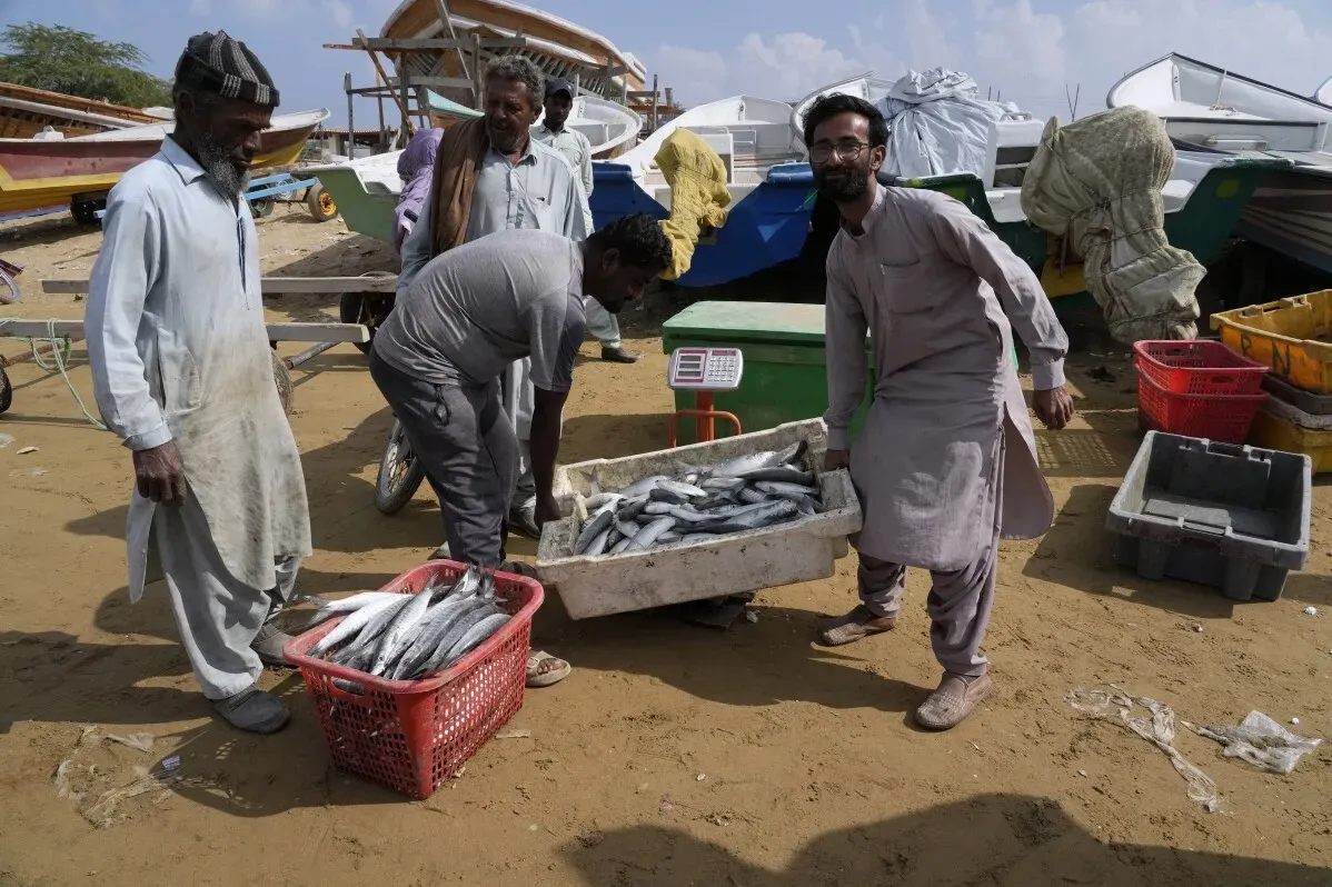رجال محليون يعملون في سوق السمك في جوادر، باكستان، حيث يظهرون في نشاطهم اليومي وسط قوارب ومعدات الصيد.