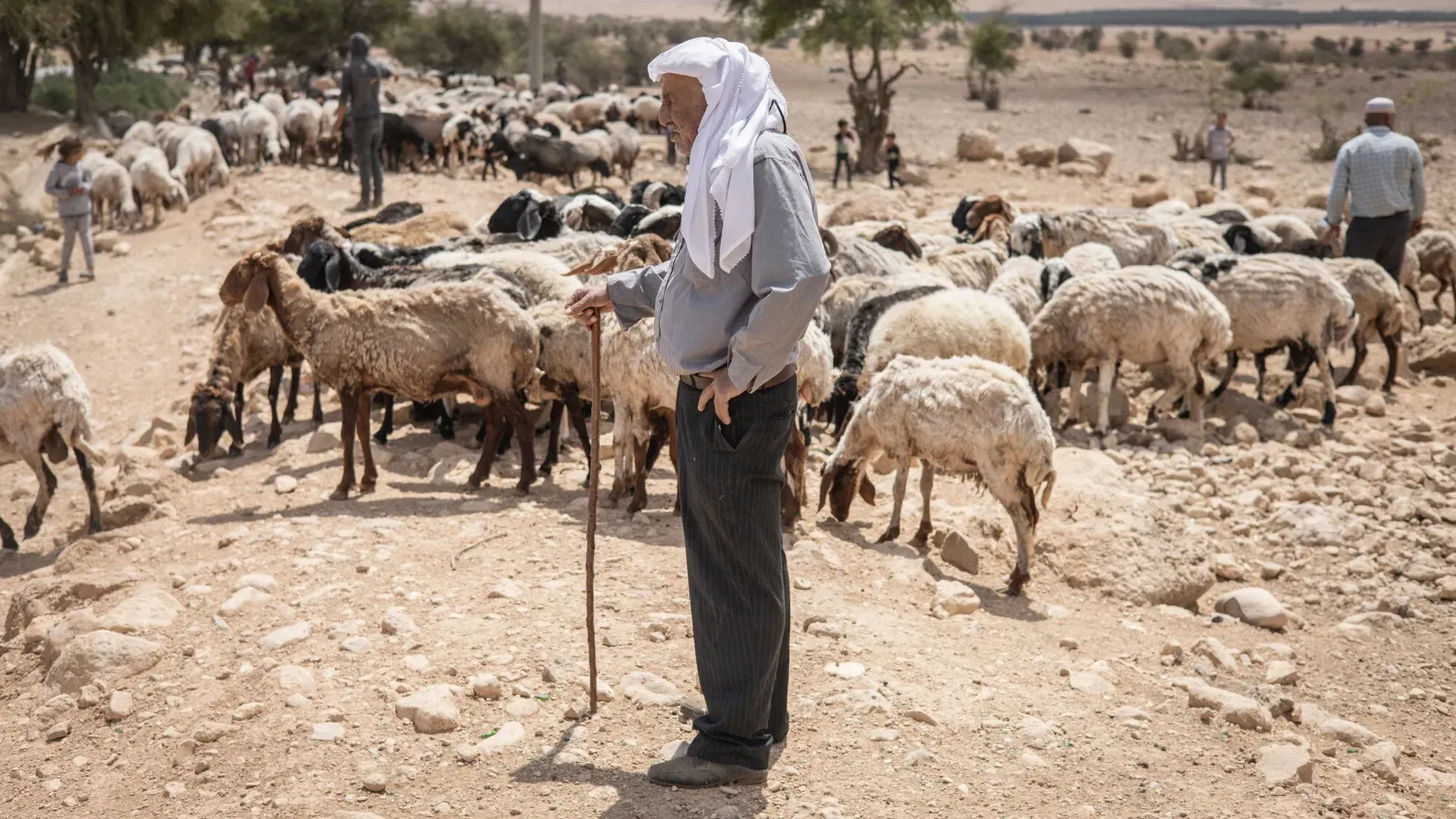 منتصر المالكي يقف بجانب أغنامه في أرض جافة، معبرًا عن مخاوفه من هجوم المستوطنين الإسرائيليين وتأثير أزمة المياه على معيشته.