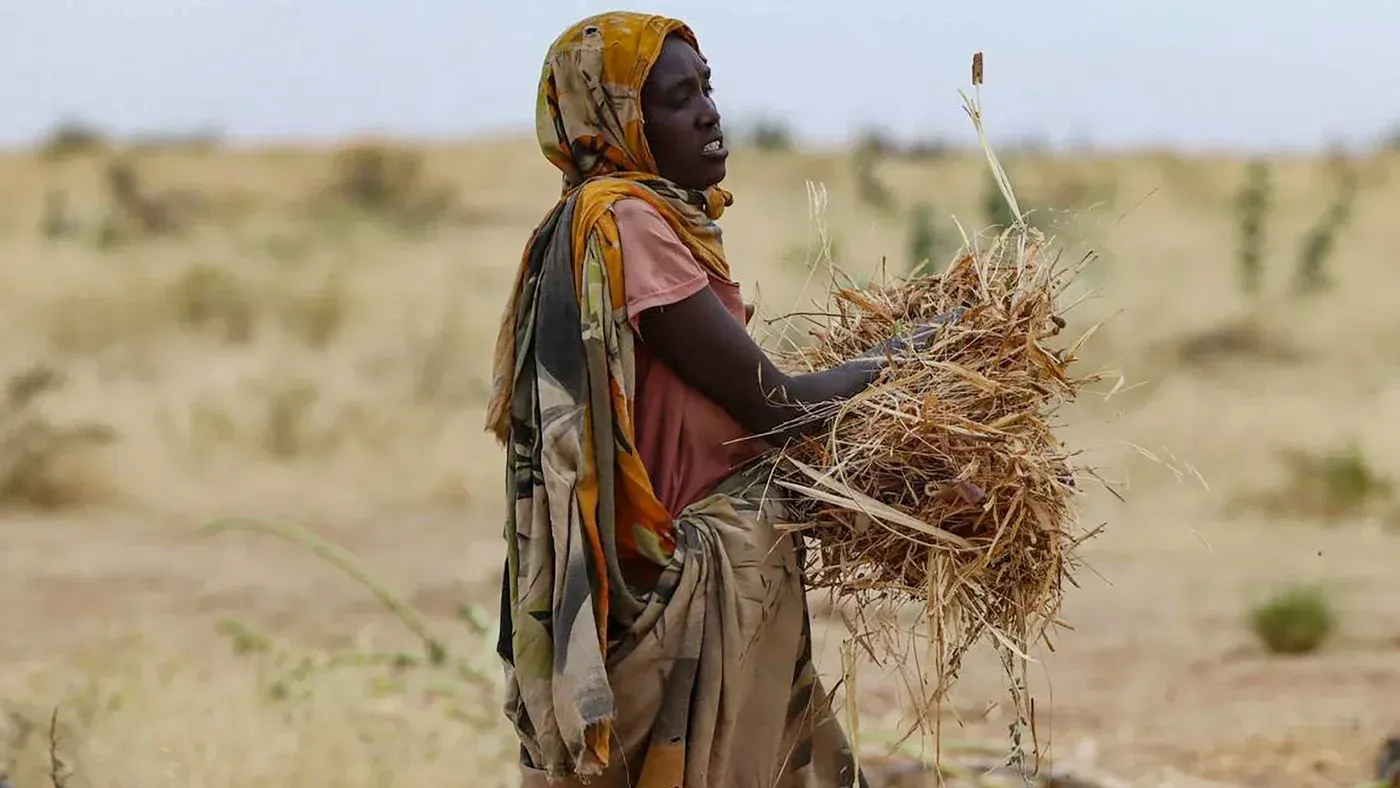 امرأة تحمل حزمة من القش في منطقة قاحلة، مما يعكس تأثير النزاع في السودان على حياة النازحين في مخيم زمزم.