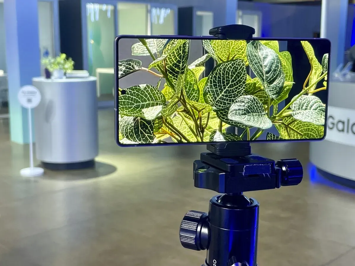 الهاتف الذكي Galaxy S25 على حامل ثلاثي القوائم مع عرض لتفاصيل أوراق نبات، يظهر في بيئة عرض حديثة.