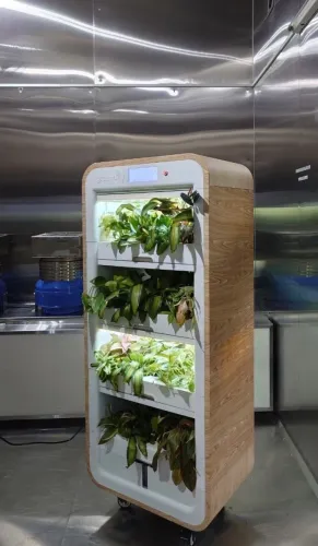 برج نباتي مبتكر من Greenairy لتنقية هواء المكاتب داخلياً عبر تفكيك المركبات العضوية المتطايرة وتحسين جودة الهواء بشكل طبيعي.