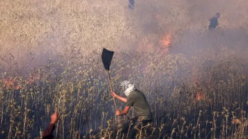شاب فلسطيني يطفئ حريقًا في مزرعة وسط دخان كثيف، في سياق التوترات حول البؤر الاستيطانية غير القانونية في الضفة الغربية.