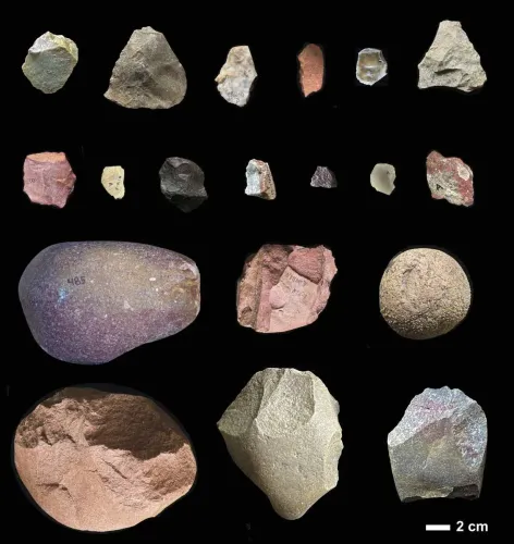 صخور متنوعة من موقع نيايانغا الأثري في كينيا، تُظهر تنوع المواد الخام المستخدمة في صنع الأدوات الحجرية القديمة.