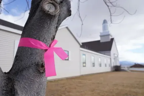 شجرة مربوطة بشريط وردي بالقرب من مبنى، تعبيرًا عن الحزن والدعم لضحايا الجرائم في ولاية يوتا.