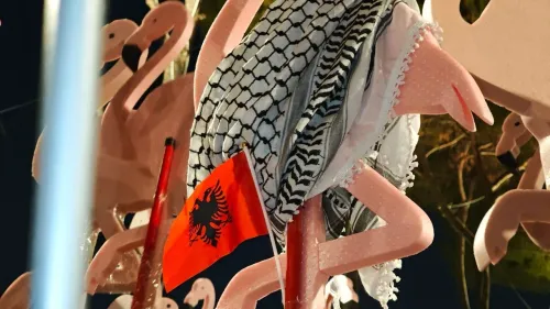 علم ألبانيا يرفرف بين مجسمات طيور الفلامنغو الوردي في احتجاجات ثورة الفلامنغو ضد مشاريع السياحة الفارهة في ألبانيا.