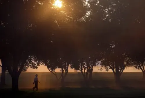 شخص يمشي في حديقة تحت أشجار، مع شروق الشمس في الأفق، مما يرمز إلى تأثير التوقيت الصيفي على النشاطات اليومية.