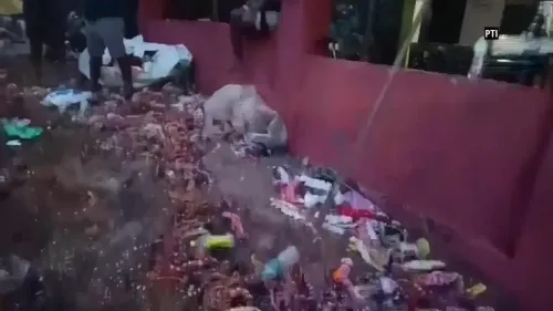 فوضى وحطام بعد تدافع في تجمع ديني في ولاية غوا الهندية، حيث سقط المصلون في ممر ضيق مما أدى إلى إصابات ووفاة ستة أشخاص.