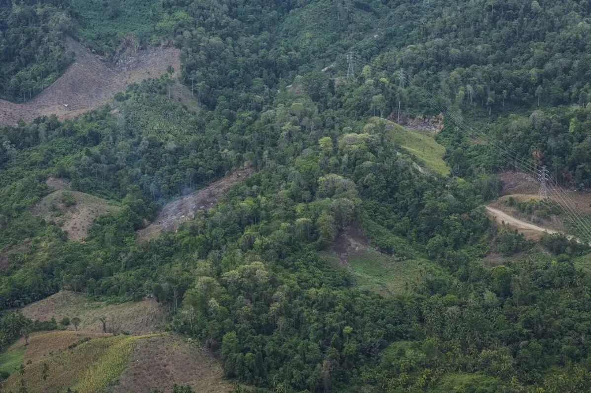 تظهر الصورة منظرًا طبيعيًا يغلب عليه الغطاء النباتي، مع تداخل بين الغابات والأراضي الزراعية، مما يعكس تأثير إزالة الغابات على البيئة.