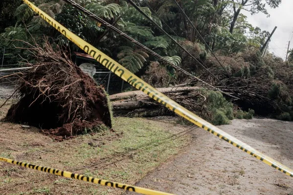 أشجار مقلوبة وأسلاك كهربائية متدلية على طريق مغلق بسبب أضرار إعصار Lala في جزيرة Big Island بهاواي.