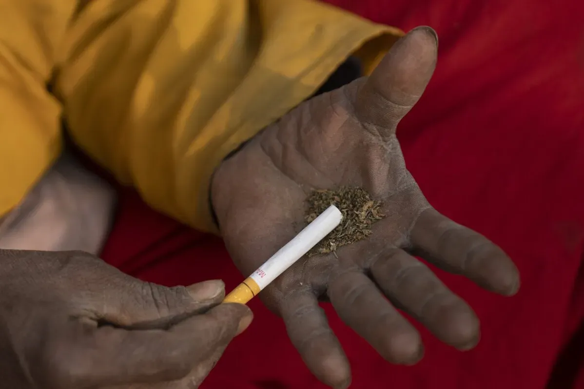 يد تحمل سجائر مملوءة بالحشيش خلال مهرجان شيفاراتري في كاتماندو، حيث يُسمح بتدخين الماريجوانا كجزء من الاحتفالات الدينية.