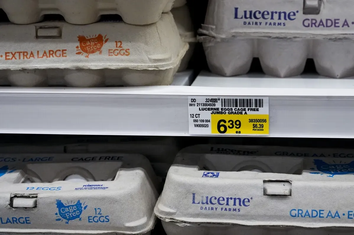 عبوات بيض من ماركة "Lucerne" مع تسعيرة تظهر ارتفاع أسعار البيض، في سياق سرقة 100,000 بيضة في بنسلفانيا.
