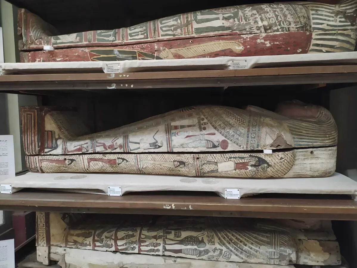 مومياوات مصرية محفوظة جيدًا في متحف، تُظهر تفاصيل فنية ملونة على التوابيت، تعكس تقنيات التحنيط القديمة ورائحتها الغريبة.