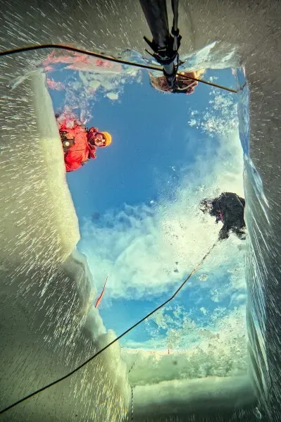 غواص ينظر من تحت الجليد في بحيرة كيلبيسجارفي بفنلندا، حيث يتسلل ضوء الشمس عبر السطح المتجمد.