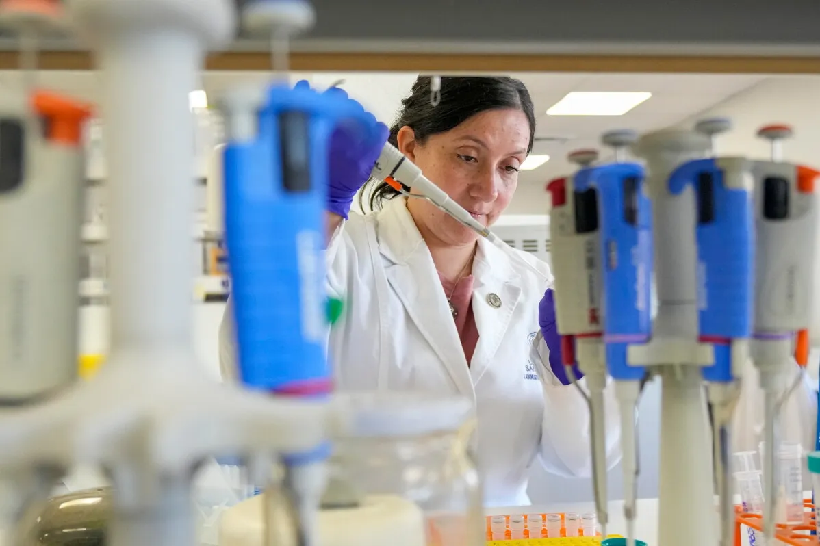 عالمة في مختبر تستخدم جهاز نقل السوائل لإجراء تجارب على فيروس الهانتا، مع أدوات مختبرية متنوعة في الخلفية.