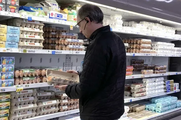 شخص يتفقد علبة من البيض في متجر، مع وجود رفوف مليئة بمنتجات البيض المختلفة، في سياق انخفاض الأسعار في الولايات المتحدة.