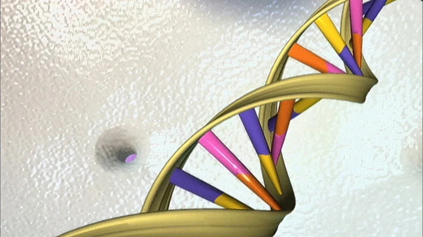 تظهر الصورة جزيء الحمض النووي (DNA) مع تسلسل ملون، مما يعكس الأبحاث حول تأثير العنف في سوريا على الجينات عبر الأجيال.