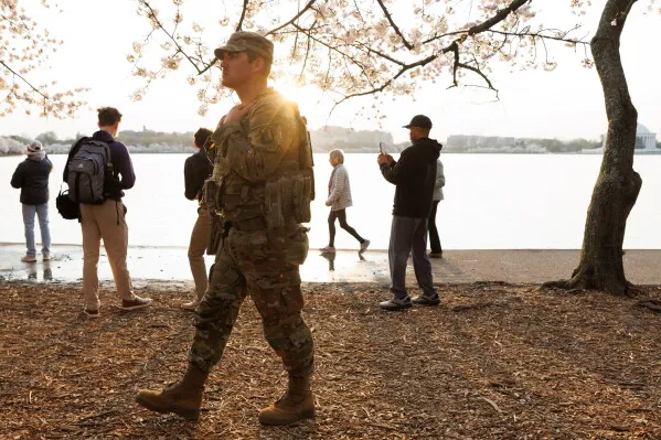 جندي من الحرس الوطني الأمريكي يتجول قرب ضفاف Tidal Basin في واشنطن خلال مهرجان أزهار الكرز وسط انتشار أمني مستمر منذ إعلان حالة الطوارئ.