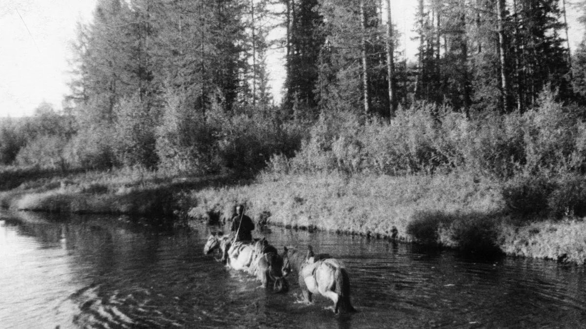 رحلة استكشاف جيولوجي في منطقة تونغوسكا بسيبيريا عام 1927 وسط غابات كثيفة، بحثاً عن آثار انفجار كويكب عام 1908 وتأثيره على البيئة.